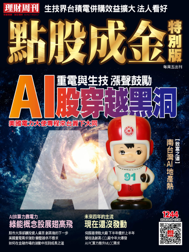 第1244期 點股成金